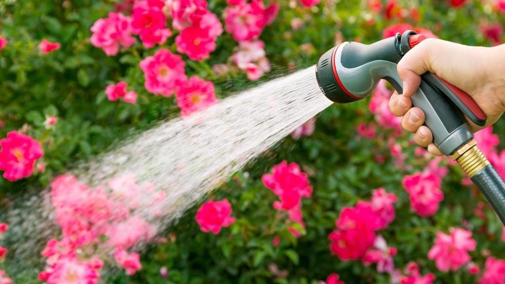 مصرف کمتر آب در باغچه بدون کاهش بازدهی با 7 ترفند هوشمندانه