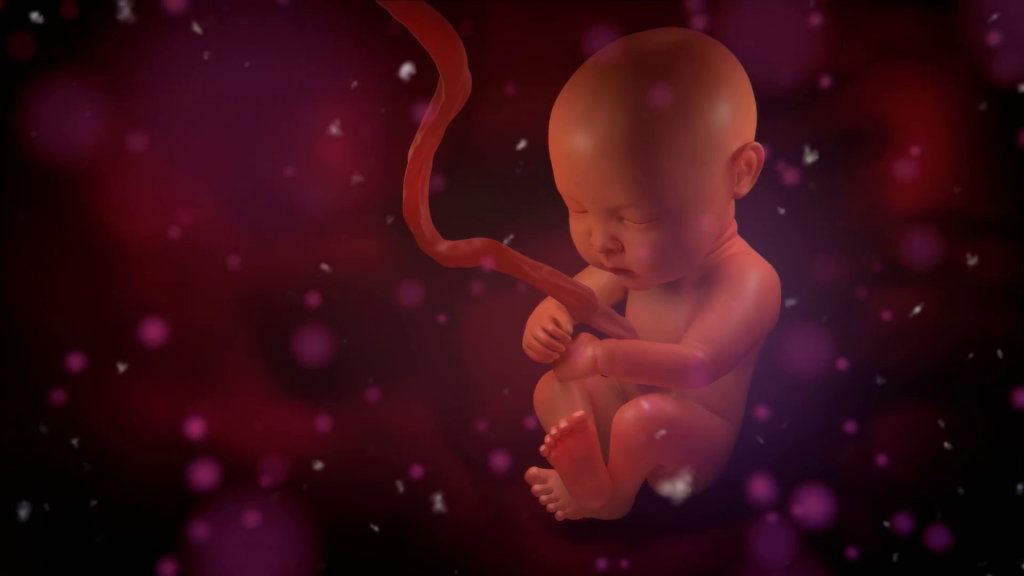 حقایقی درباره جنین در رحم و نوزاد تازه متولد شده