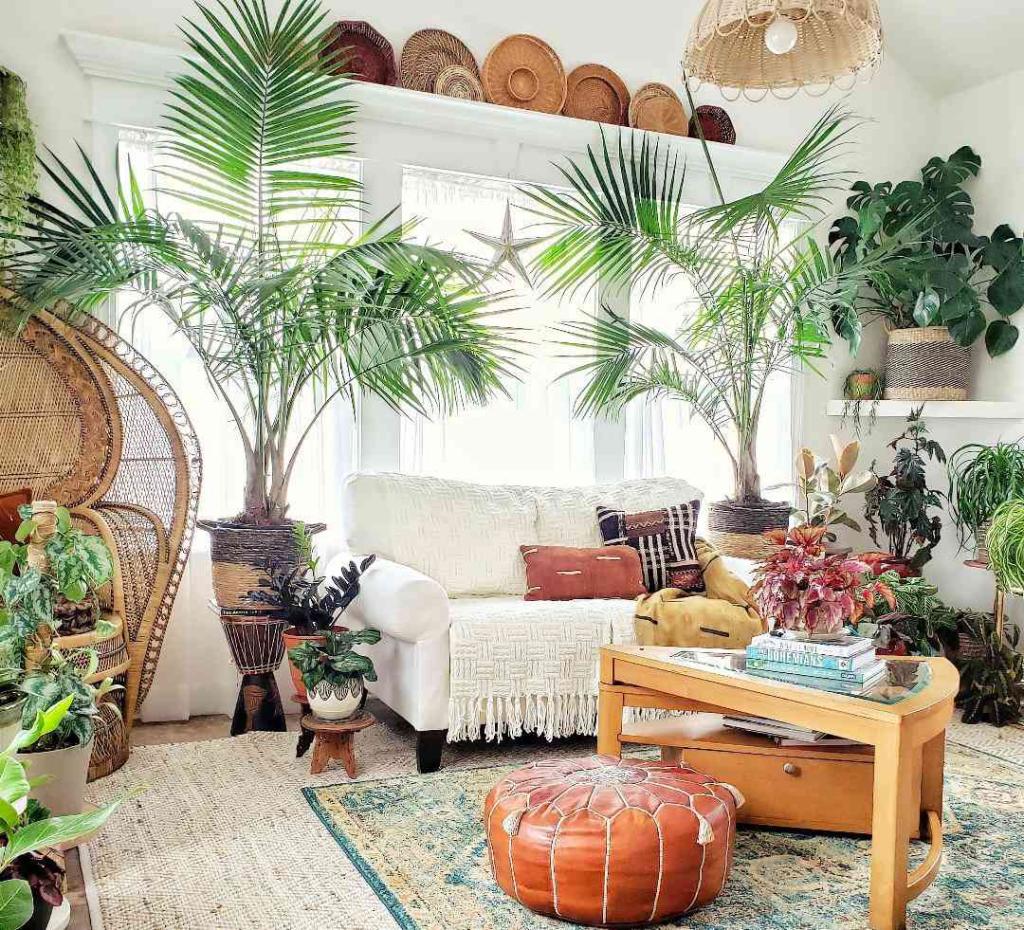 تزیین خانه با گیاهان سبز 10