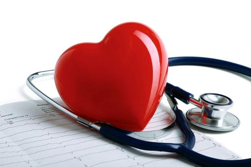خواص توت خشک برای سلامتی:حفظ سلامتی قلب
