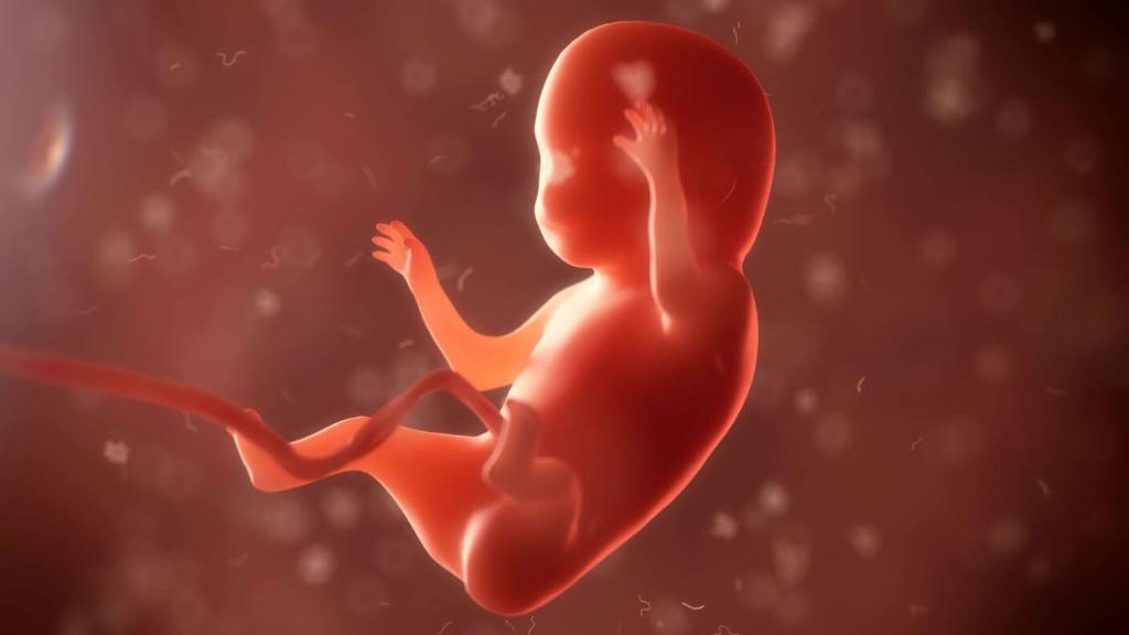 خواص ارده کنجد در بارداری:کمک به رشد جنین