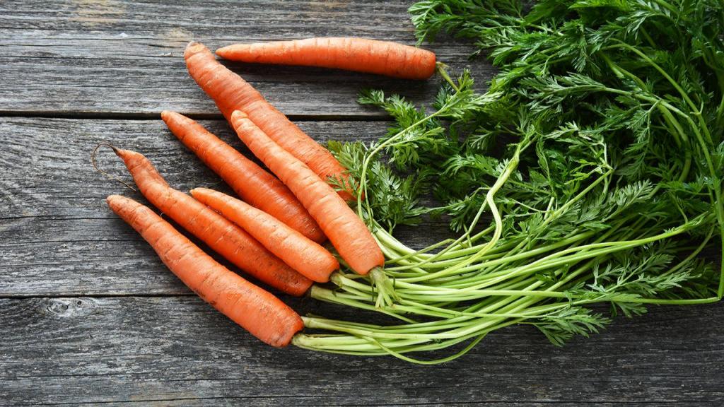 خواص عالی برگ هویج برای سلامتی: موارد استفاده، روش نگهداری و سرخ کردن آن