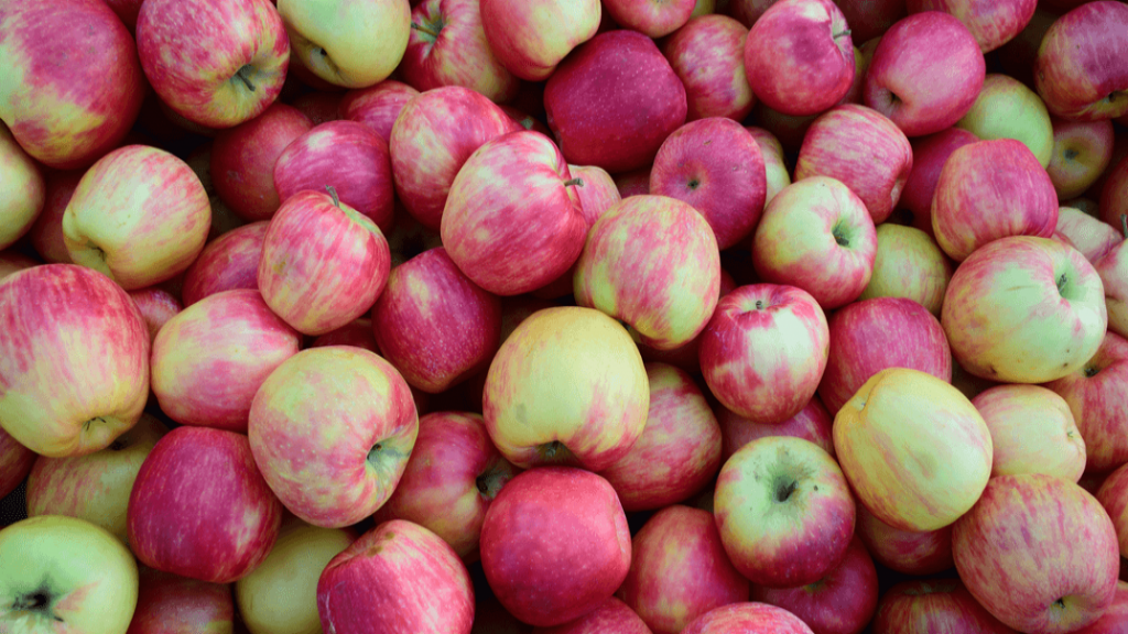 16 خاصیت فوق العاده سیب گلاب برای سلامتی، کاهش وزن، پوست و مو