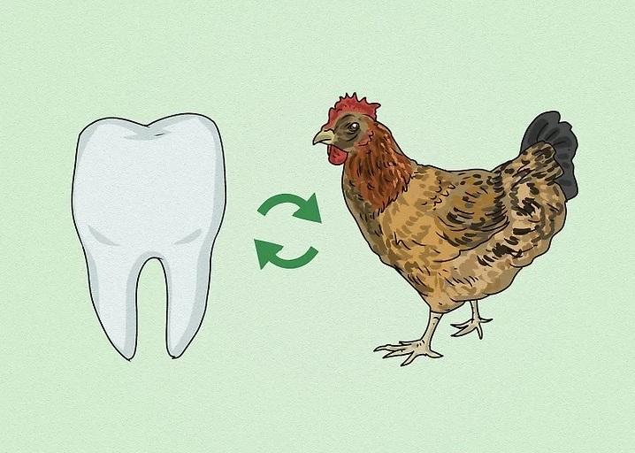 پری دندان و ریشه افسانه&zwnj;ها 7