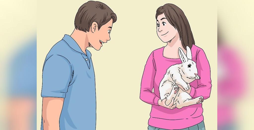 ساده ترین روش تشخیص جنسیت خرگوش