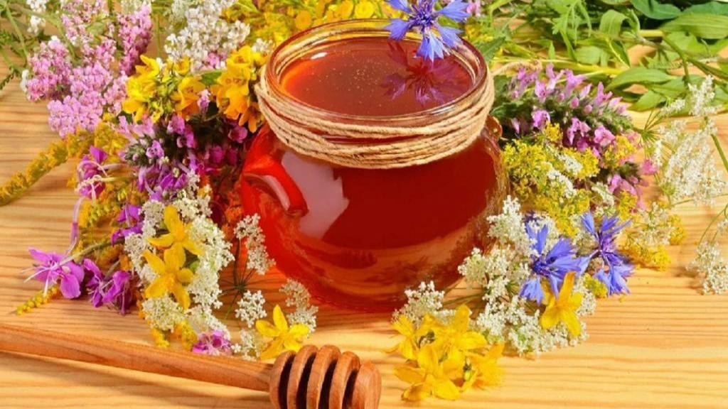 خواص عسل گشنیز و گون برای سلامتی در طب سنتی + عوارض و کاربرد