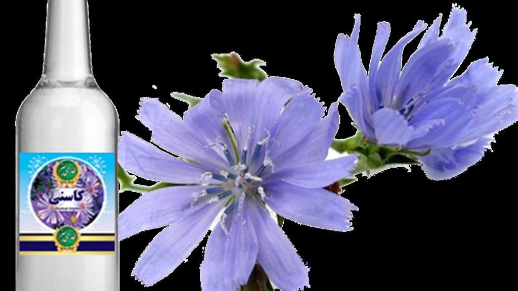 خواص عرق کاسنی برای مردان و پسردار شدن؛ طریقه مصرف و عوارض کاسنی