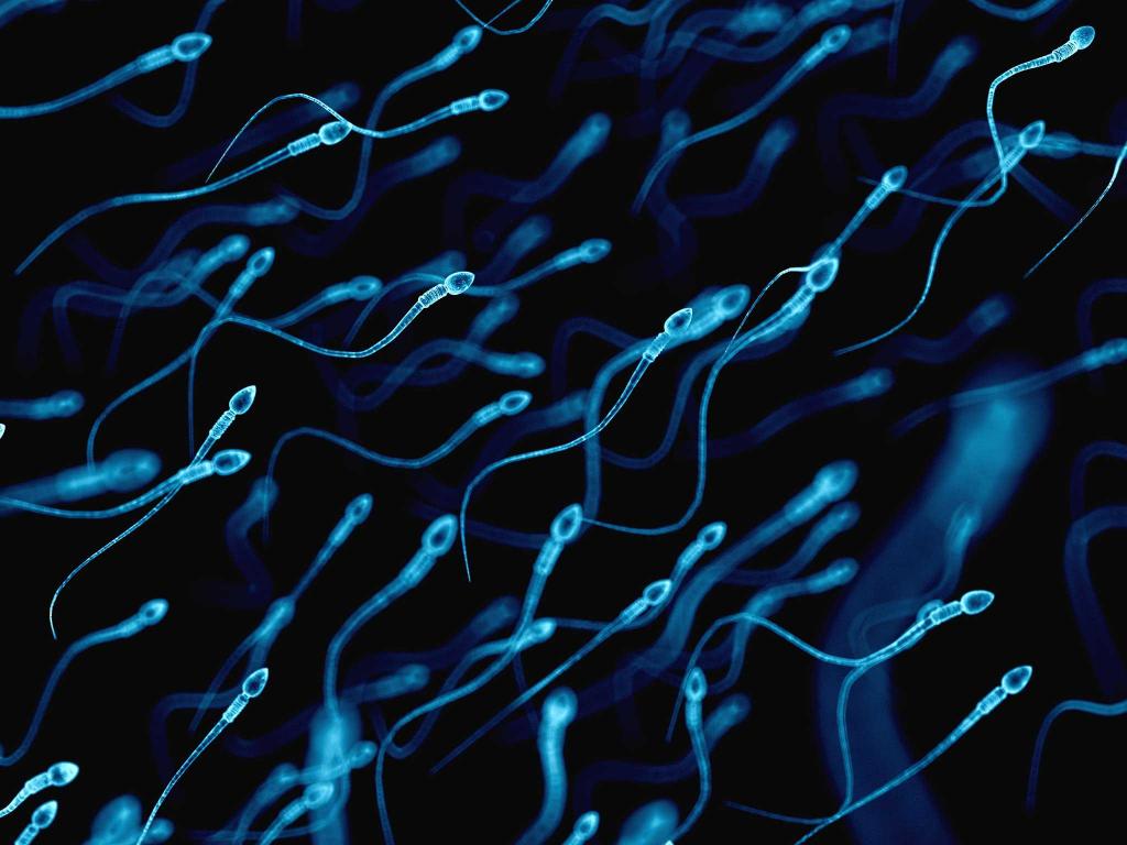 بهترین مکمل های تقویت و افزایش اسپرم مردان