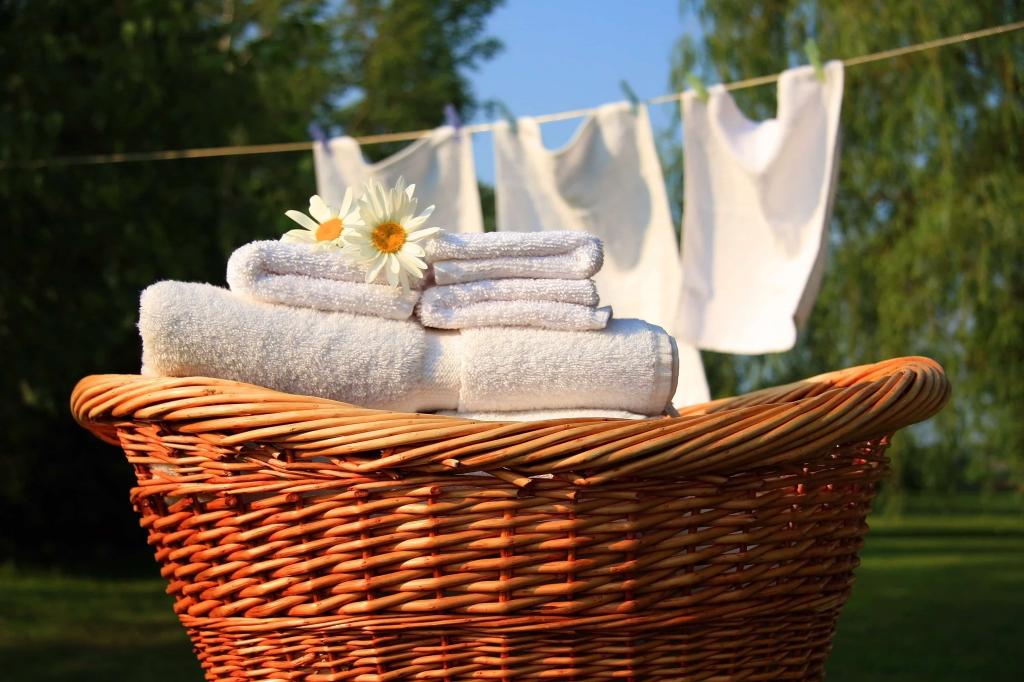 چگونه ساس را از بین ببریم:شستن تشک ها و وسایل خواب با شوینده های قوی