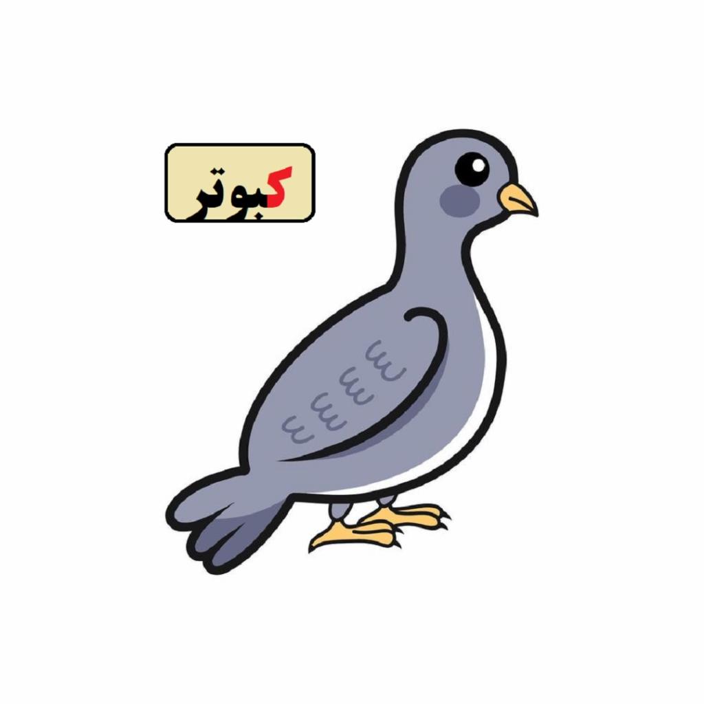 نقاشی کبوتر با نشانه ک 1