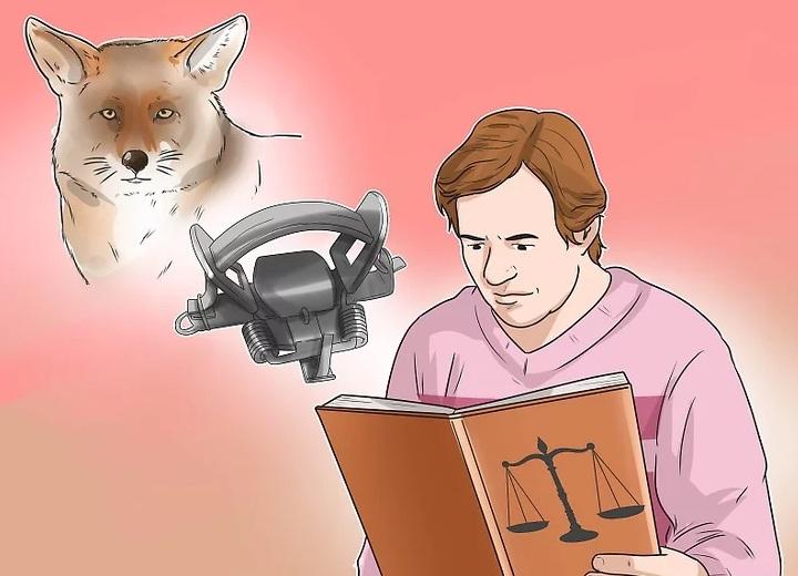 روش&zwnj;های به دام انداختن کایوت 4