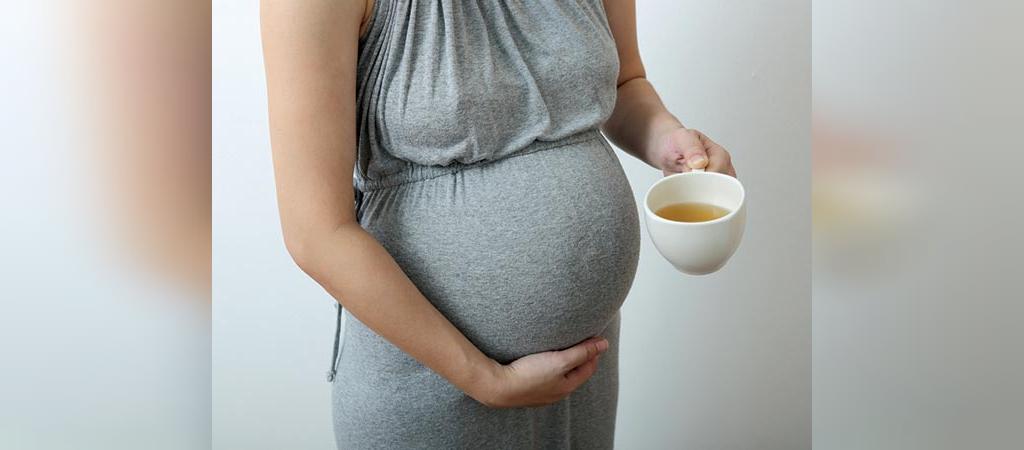 چای سبز در بارداری