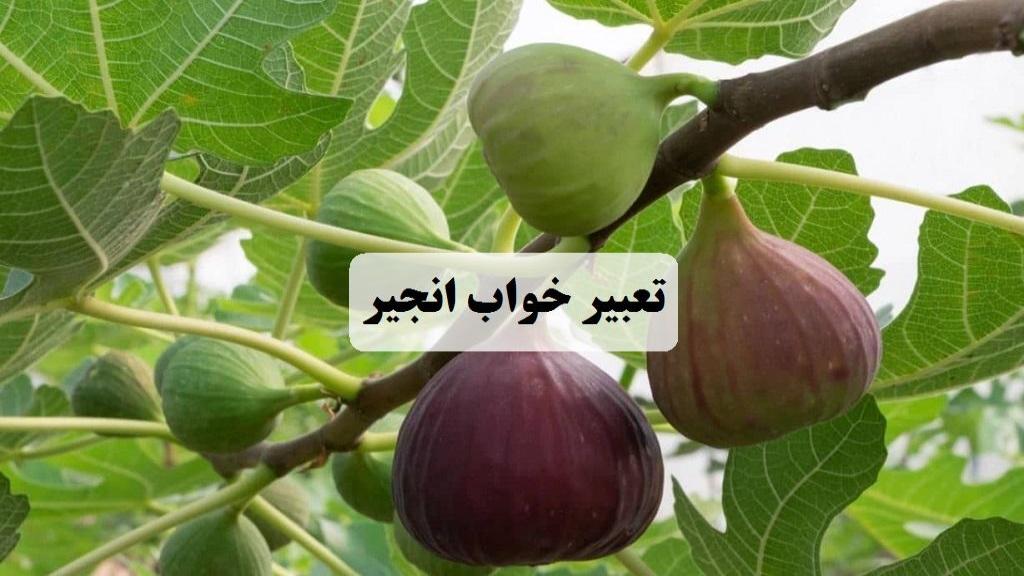 تعبیر خواب انجیر؛ معنی دیدن انجیر زرد، سیاه خوردن و چیدن در خواب امام صادق