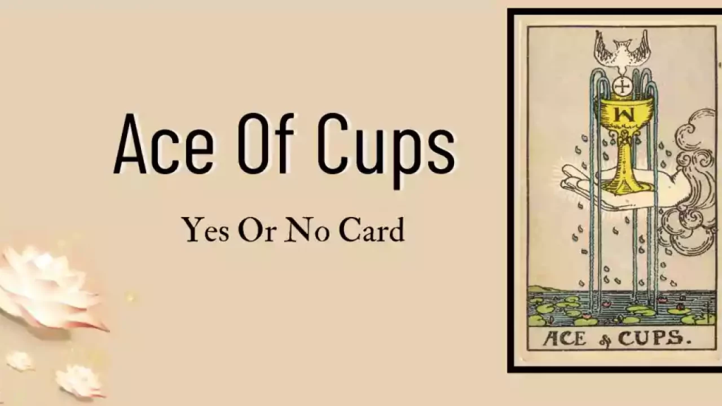 معنی کارت تک جام در تاروت؛ تفسیر دقیق و کامل کارت Ace of Cups