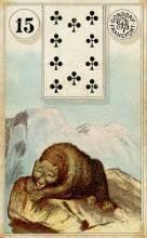 معنی کارت زن + خرس در فال لنورماند