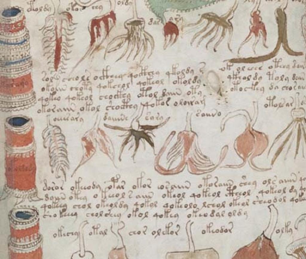 دست نوشته ووینیچ (The Voynich Manuscript)