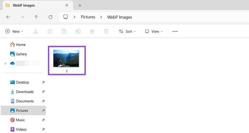 نحوه باز کردن تصاویر با فرمت Webp 1