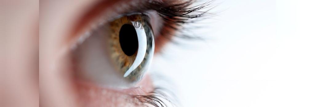 مزیت های ملون برای جلوگیری از کاهش بینایی