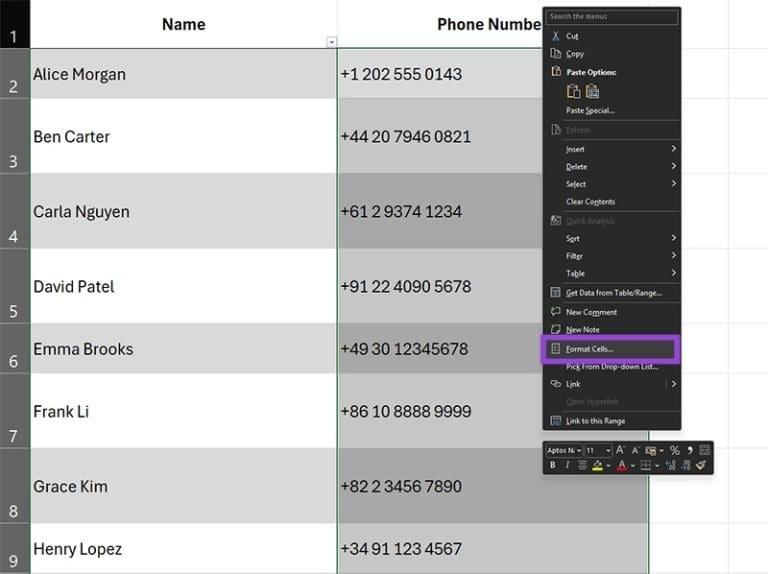 نحوه تنظیم شماره تماس در اکسل 6