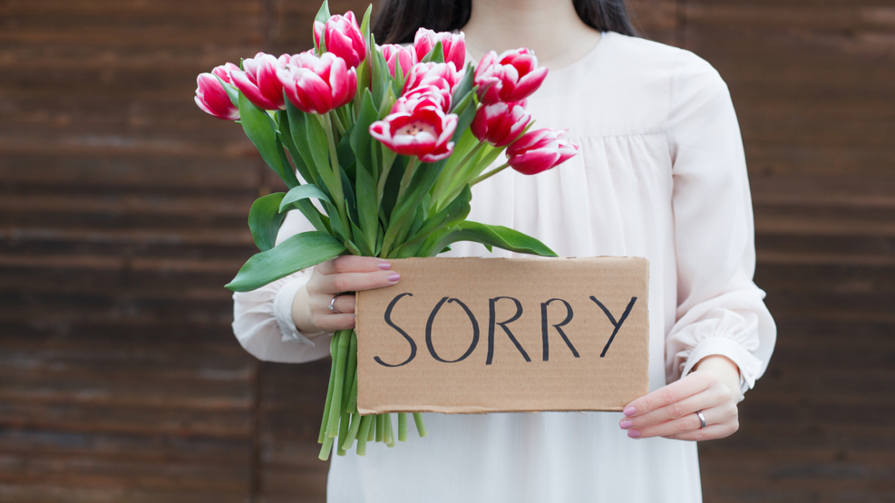 46 پیامک و جمله برای عذر خواهی از همسر و دوست پسر