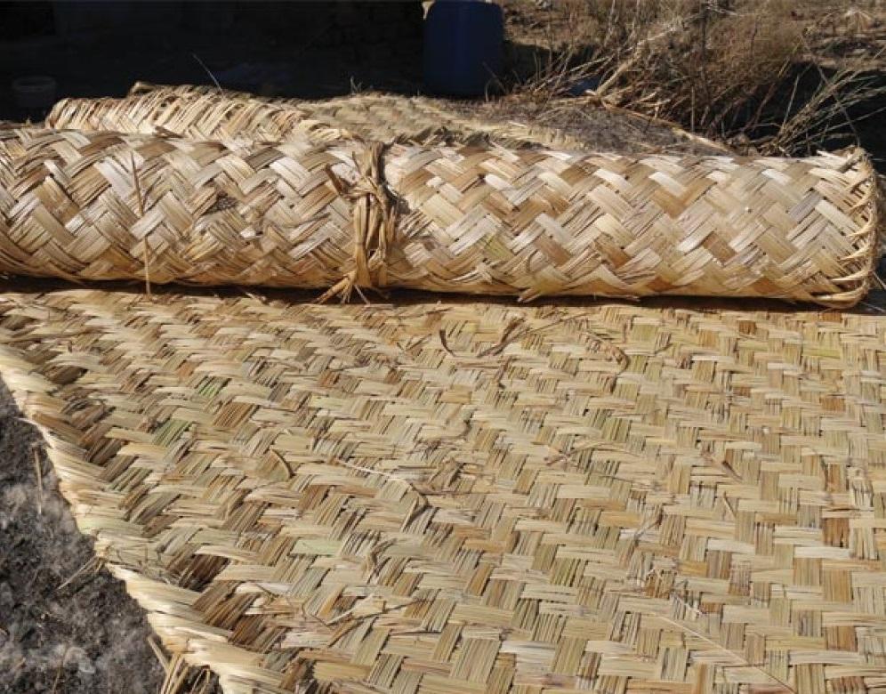 تعبیر خواب بوریا 1