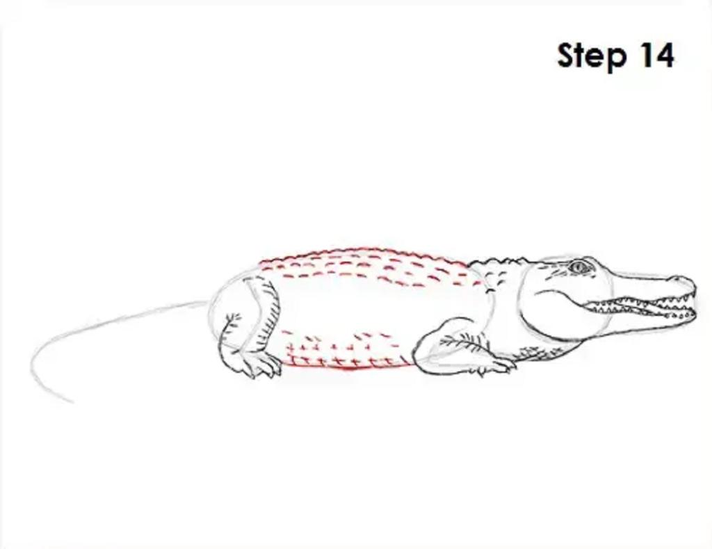 آموزش کشیدن نقاشی تمساح مرحله به مرحله