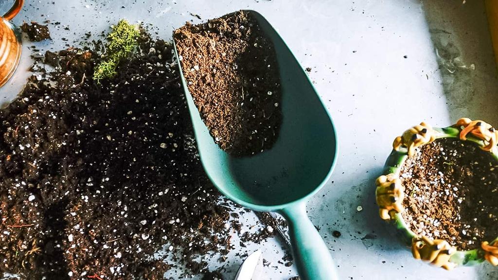 خاک گلدان چیست؛ طرز ساخت بهترین ترکیب خاک گلدان و باغچه خانگی