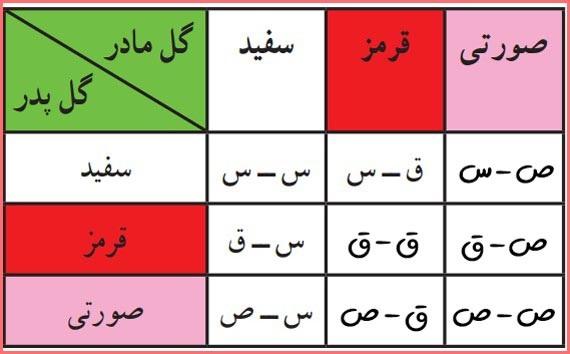 حل سوالات صفحه 132 ریاضی هشتم 3