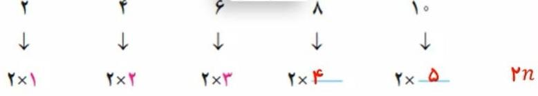 حل تمرین صفحه 57 ریاضی هشتم 4