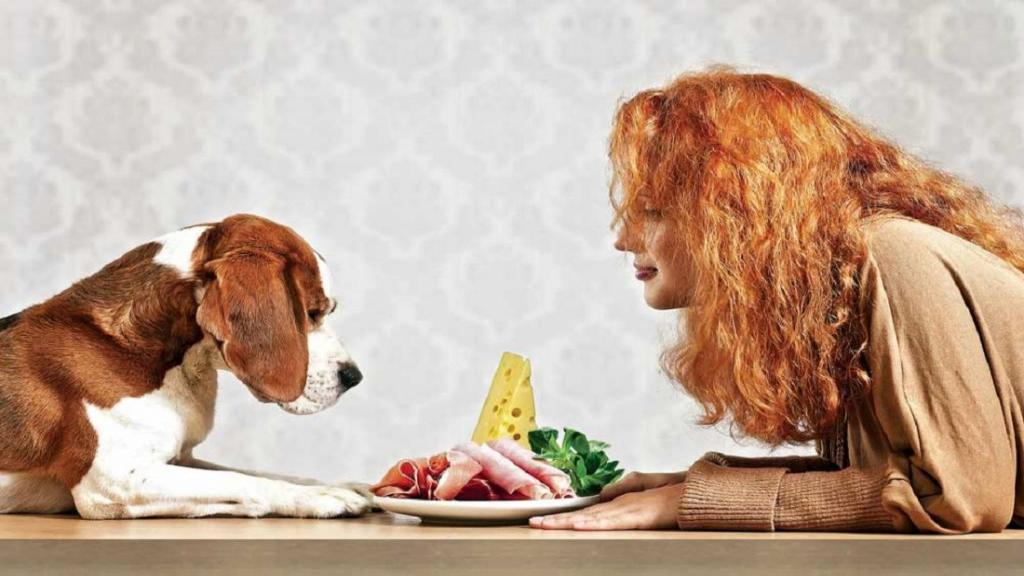 رژیم غذایی سالم برای سگ و غذاهای انسانی ایمن و مفید برای سگ