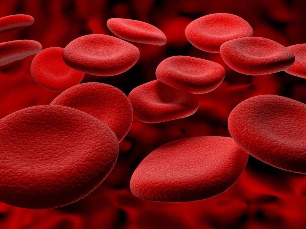اجزای تشکیل دهنده خون