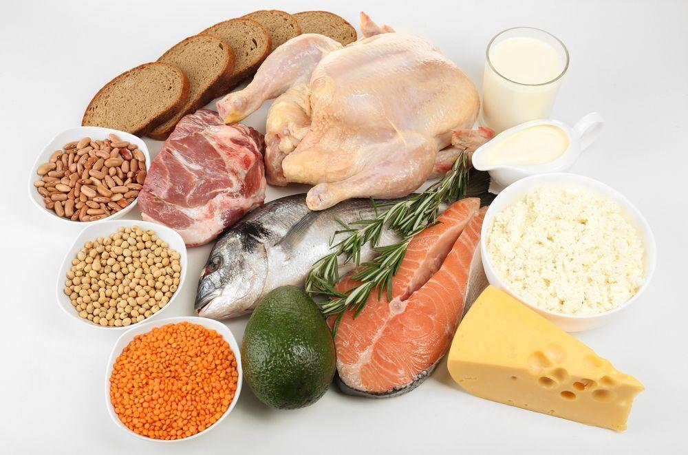 راهنمای مصرف پروتئین برای عضله‌سازی