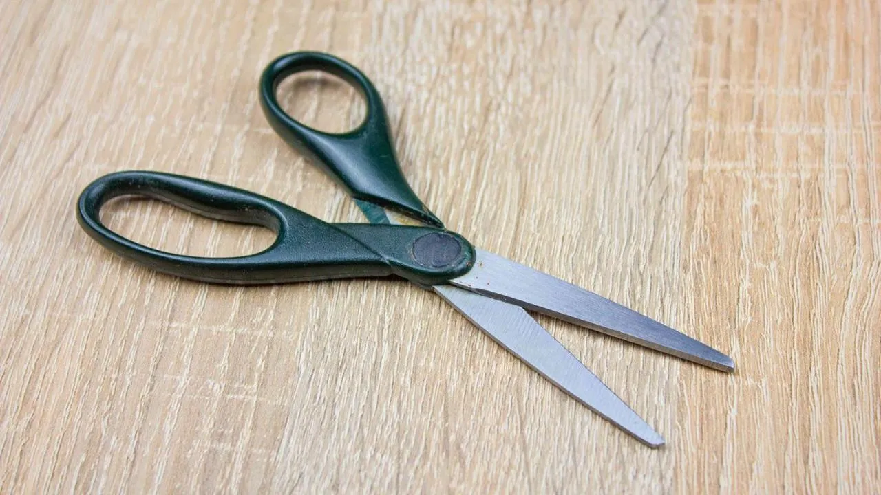 چگونه قیچی کند را تیز کنیم؛ 5 روش خانگی برای قیچی خیاطی و آرایشگری