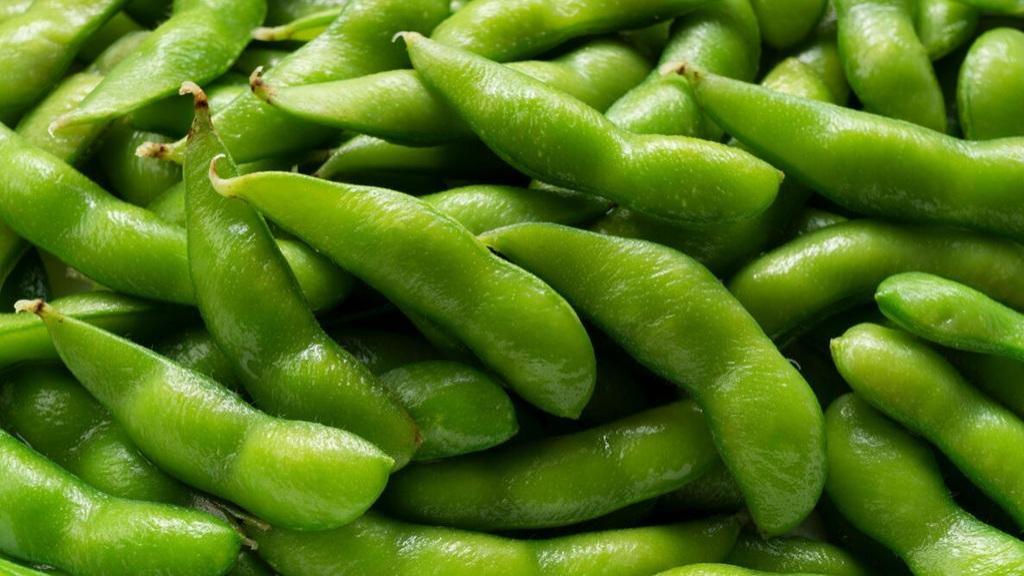 کاشت سویا در باغچه؛ شرایط پرورش، نگهداری و برداشت گیاه ادامامه