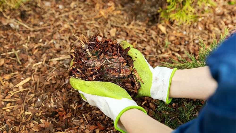 چگونه خاک باغچه را حاصلخیز کنیم؟