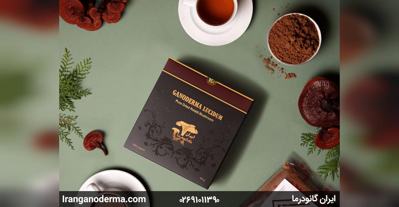 قارچ گانودرما