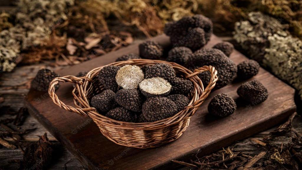 قارچ دنبلان چیست؛ انواع قارچ ترافل، روش پخت و نگهداری truffle