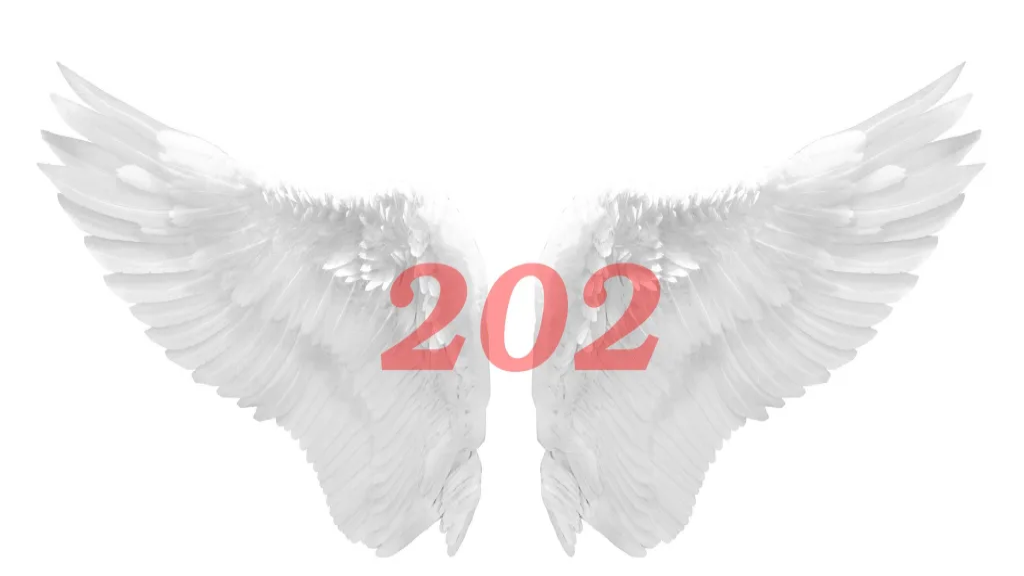 معنی عدد 0202 عاشقانه؛ راز دیدن اعداد فرشتگان 0202 به چه معناست