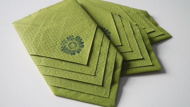 مدل تزیین دستمال سفره یکبار مصرف 2