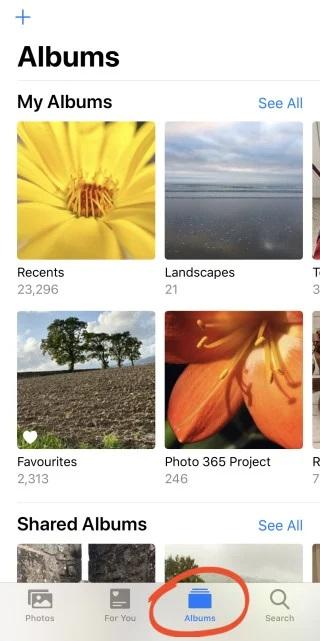 حوه دانلود و انتقال عکس ها از iCloud از طریق iCloud Shared Album
