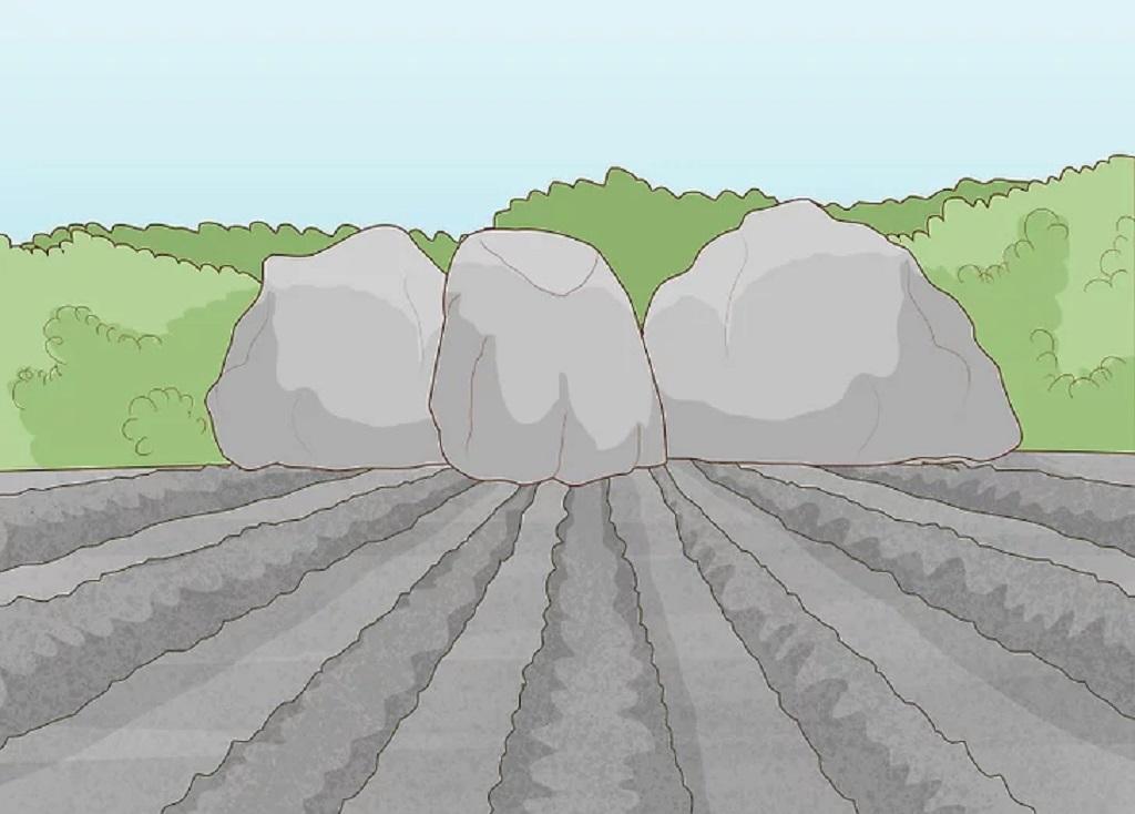 هرس کردن باغ ذن بهصورت الگوی دلخواه 3