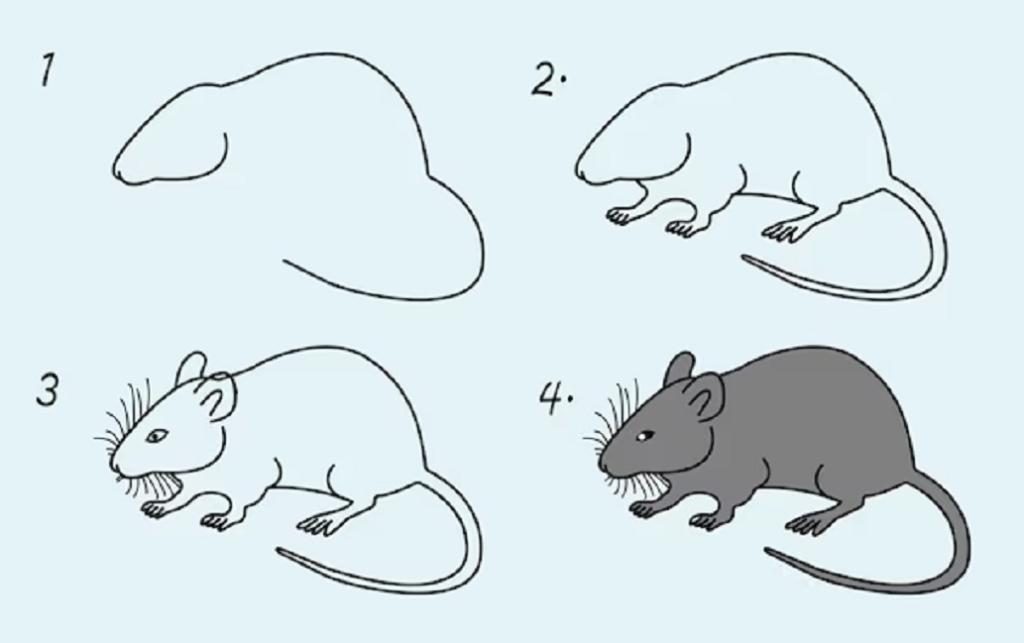 نقاشی شیر و موش مرحله به مرحله 6