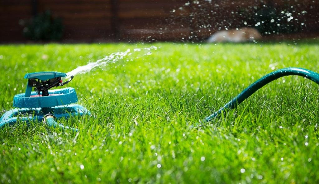 چه مقدار باید چمن را آبیاری کرد؟