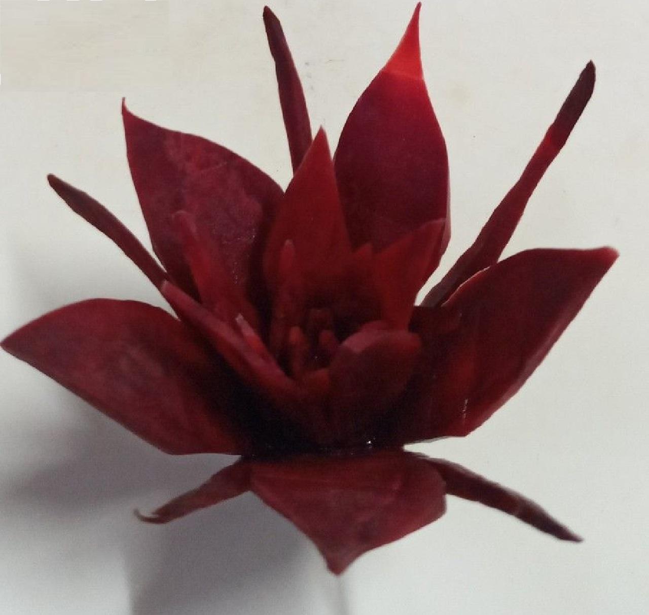 مدل تزیین لبو یلدایی برای عروس 2