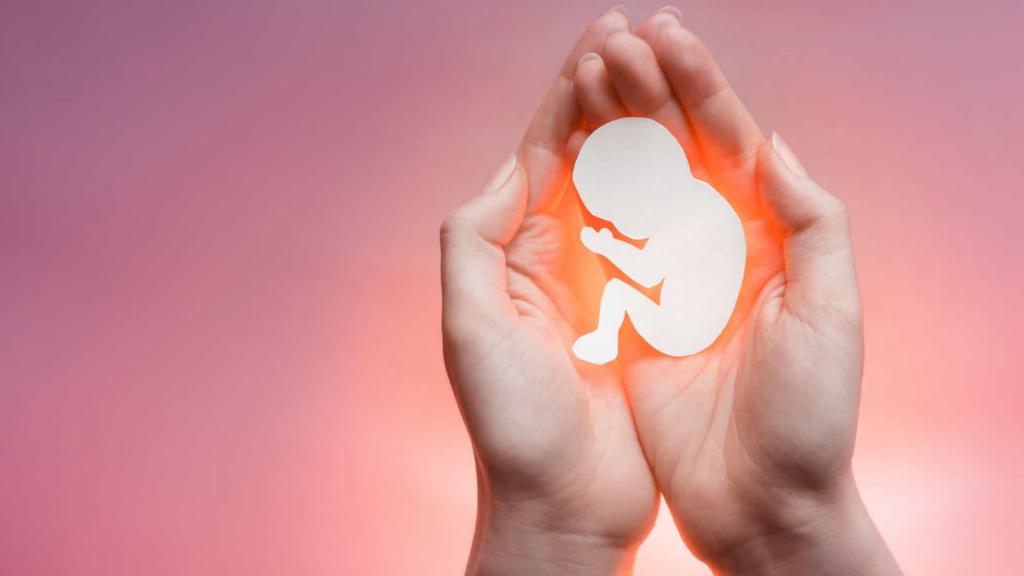 سقط جنین در هفته دوم بارداری