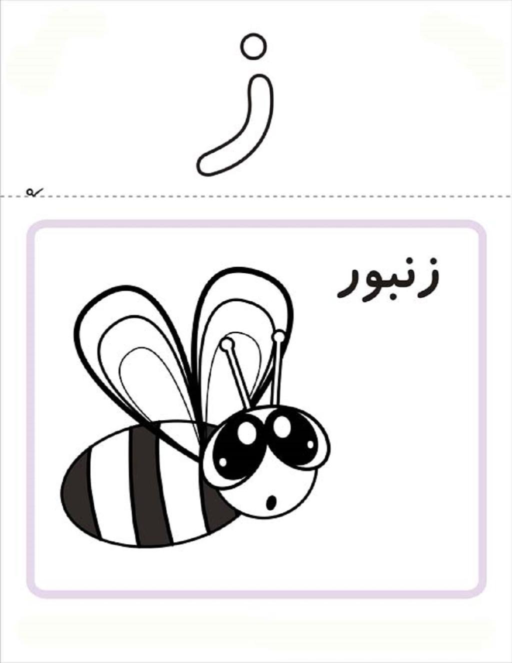 نقاشی زنبور با حرف ز 2
