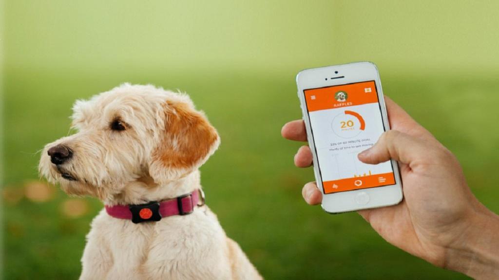 بهترین ردیاب و جی بی اس (GPS) هوشمند سگ و حیوان خانگی + مزایا و معایب