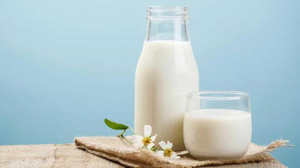 رژیم شیر و خرما 12 روزه برای کاهش وزن 9 کیلو در 12 روز+ برنامه غذایی