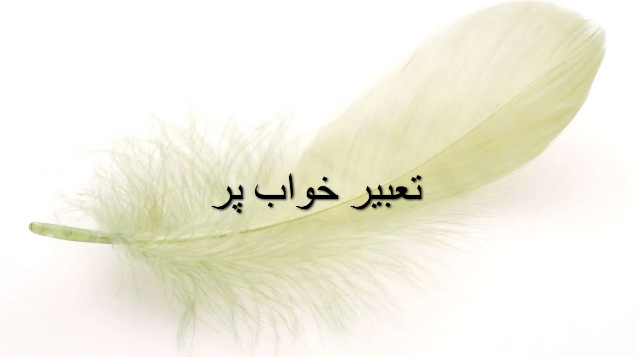 تعبیر خواب پر؛ دیدن پر پرندگان، بالش و کندن پر در خواب برای دختر مجرد