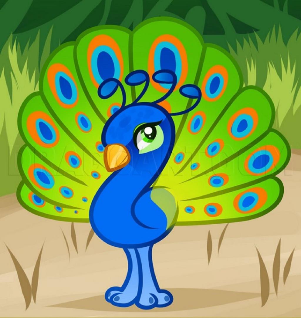 نقاشی طاووس برای کودکان 2